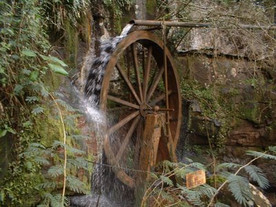 20080729162344-capiovi4.jpg