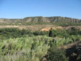20080805112037-valle-martin.jpg