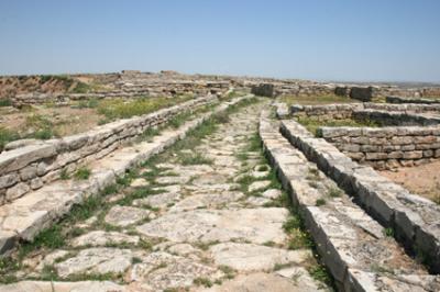20080919180715-azacal1.jpg