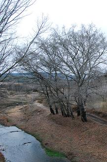 20081030185038-martin.jpg