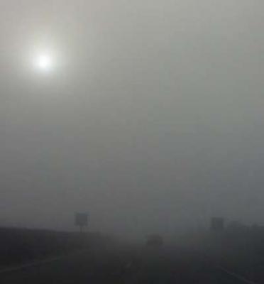 20081125094638-niebla.jpg